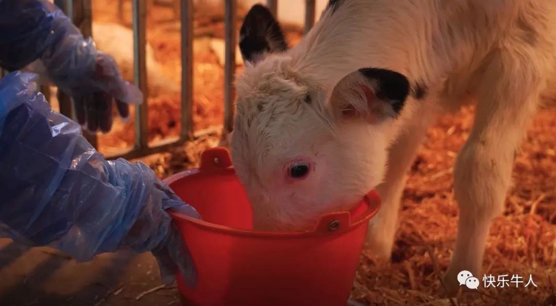 wx_fmt=jpeg&wxfrom=5&wx_lazy=1&wx_co=1.jpg wx_fmt=jpeg&wxfrom=5&wx_lazy=1&wx_co=1.jpg